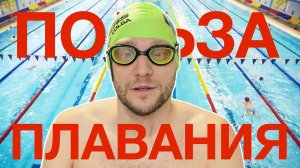 Как плавание влияет на работу мозга и помогает концентрировать внимание