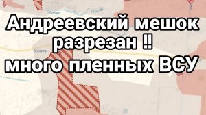 МРИЯ⚡️ ТАМИР ШЕЙХ / МНОГО ПЛЕННЫХ ВСУ. Сводки с фронта Новости