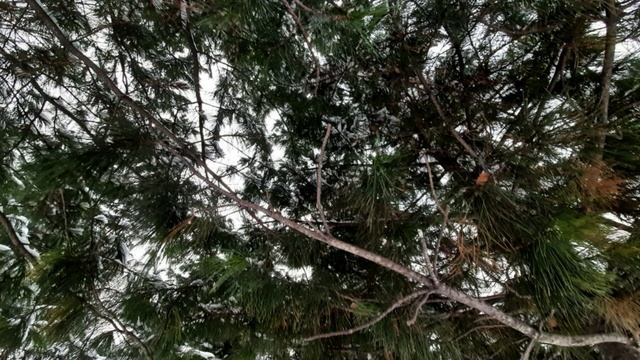 Как рассказать об учение Радугимира смотреть онлайн