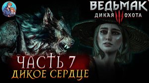 Прохождение The Witcher 3: Wild Hunt|Ведьмак 3: Дикая Охота| Часть 7| На Русском