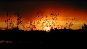 Иеромонах Роман. «Если б я не познал тайну Богообщения…»