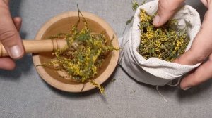 Донник - "царский венец"