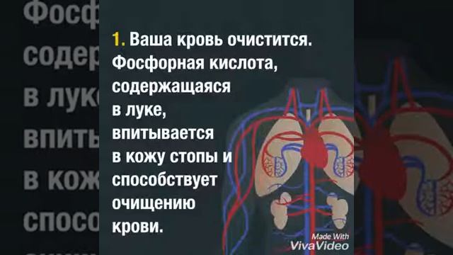 Лук и ее помощь организму
