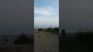 Песчанка 2020