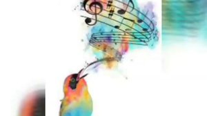 Arabian music - hebi hebi  -  Арабиа мусик- хеби хеби