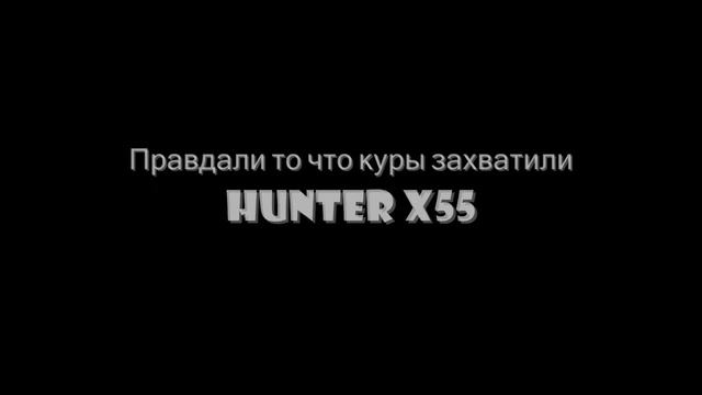 Шо же это!? Hunter x55 смотреть онлайн