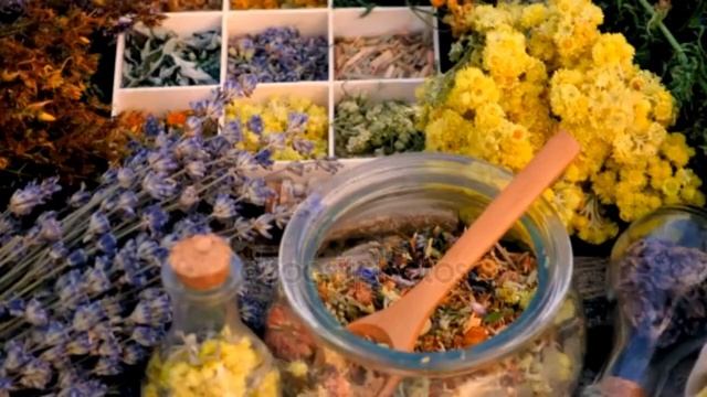 МОЧЕГОННЫЕ ТРАВЫ Тайны и Применение в Народной Медицине — сделано в Clipchamp смотреть онлайн