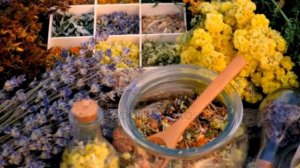 МОЧЕГОННЫЕ ТРАВЫ  Тайны и Применение в Народной Медицине — сделано в Clipchamp