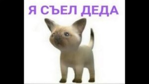 morgenstern - я съел деда (slowed + reverb)