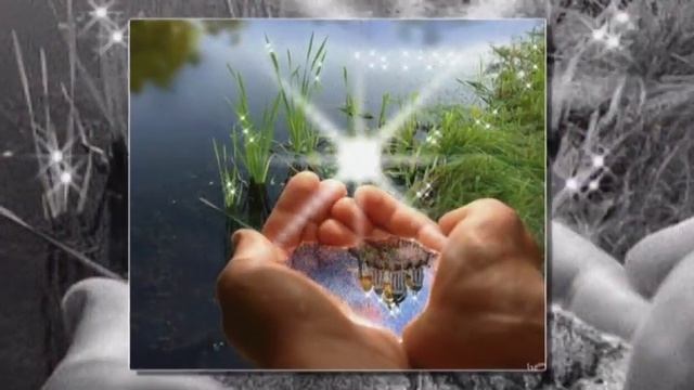 mirabela dauier floare albastra смотреть онлайн