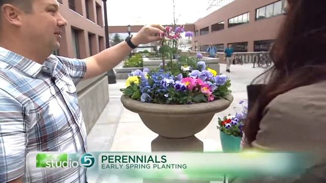 The Best Flowers to Plant Early смотреть онлайн