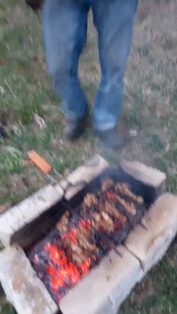 Первое мая // Шашлычный сезон открыт // Шашлындос // Приколы в деревне//Тик Ток #Shorts смотреть онлайн