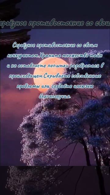 Ваше состояние.. смотреть онлайн