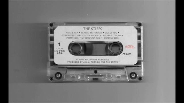 The Stiffs - Pretty Girl смотреть онлайн