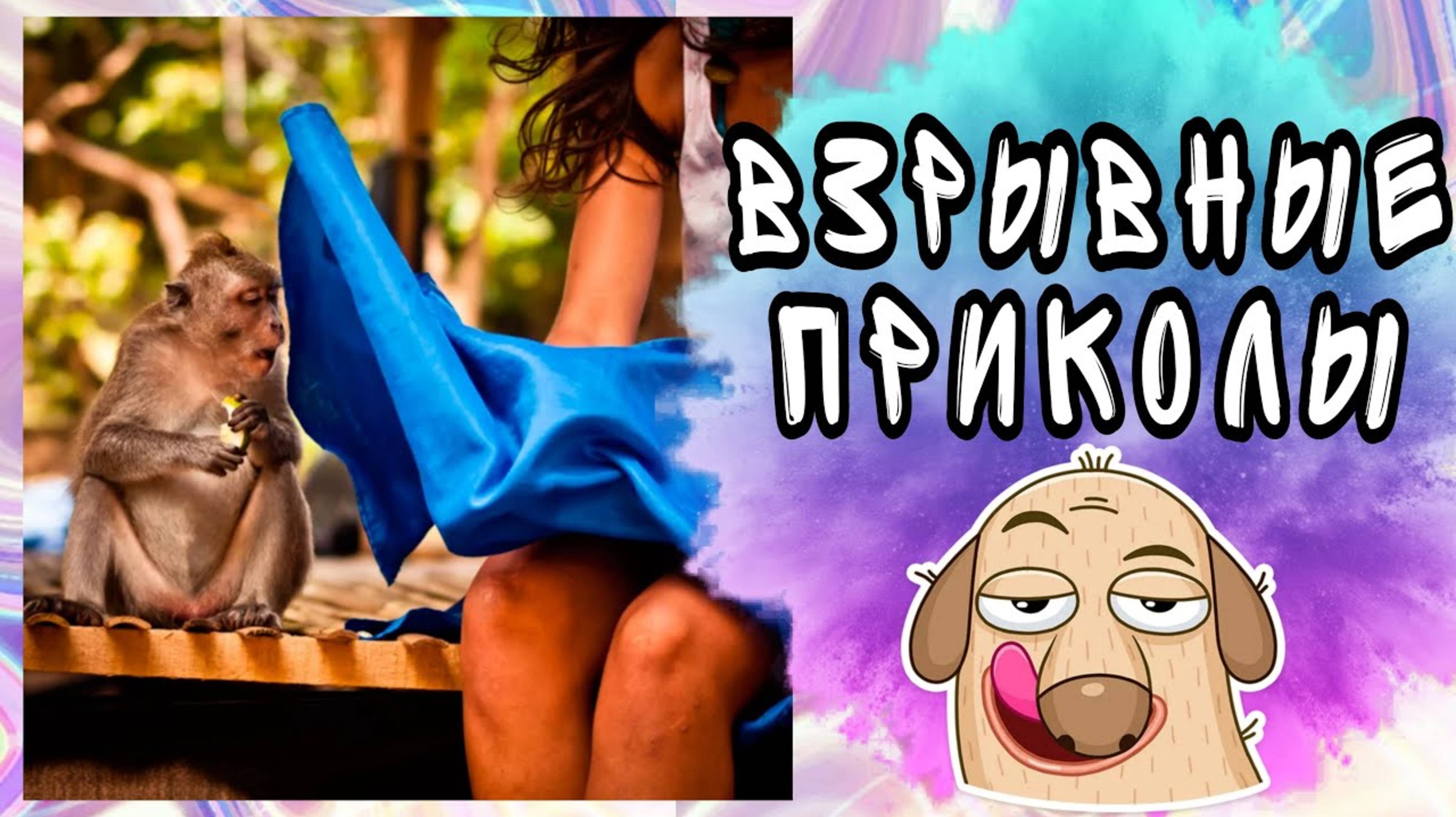 6 МИНУТ ВЗРЫВНЫХ ПРИКОЛОВ / ПРИКОЛЫ / СМЕЙСЯ СКОЛЬКО ВЛЕЗЕТ смотреть онлайн