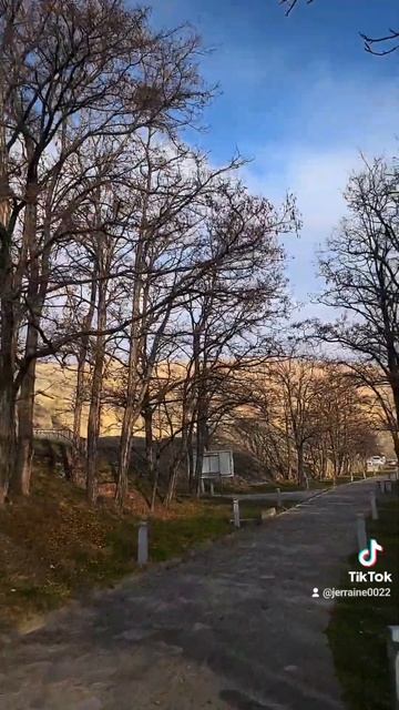 Georgia 2022 смотреть онлайн