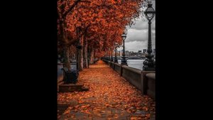 Véronique Sanson - Le paradis blanc