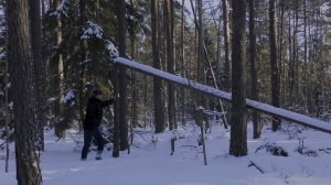 Три дня в холодном зимнем лесу! Укрытие для выживания в дикой природе От начала до конца