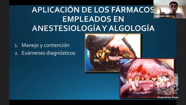 Conceptos básicos y técnicas empleadas en anestesiología смотреть онлайн