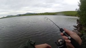 Trout Sensor 57UL/2. Настоящий XUL-универсал.