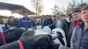 МОЛБОЗОРИ ЧУЗИ ШАХРИНАВ БОЗОРБА НАРХИ ГОВ ЧАНСУМ НАРХНАМОИ ИМРУЗА 5 апреля 2024 г.