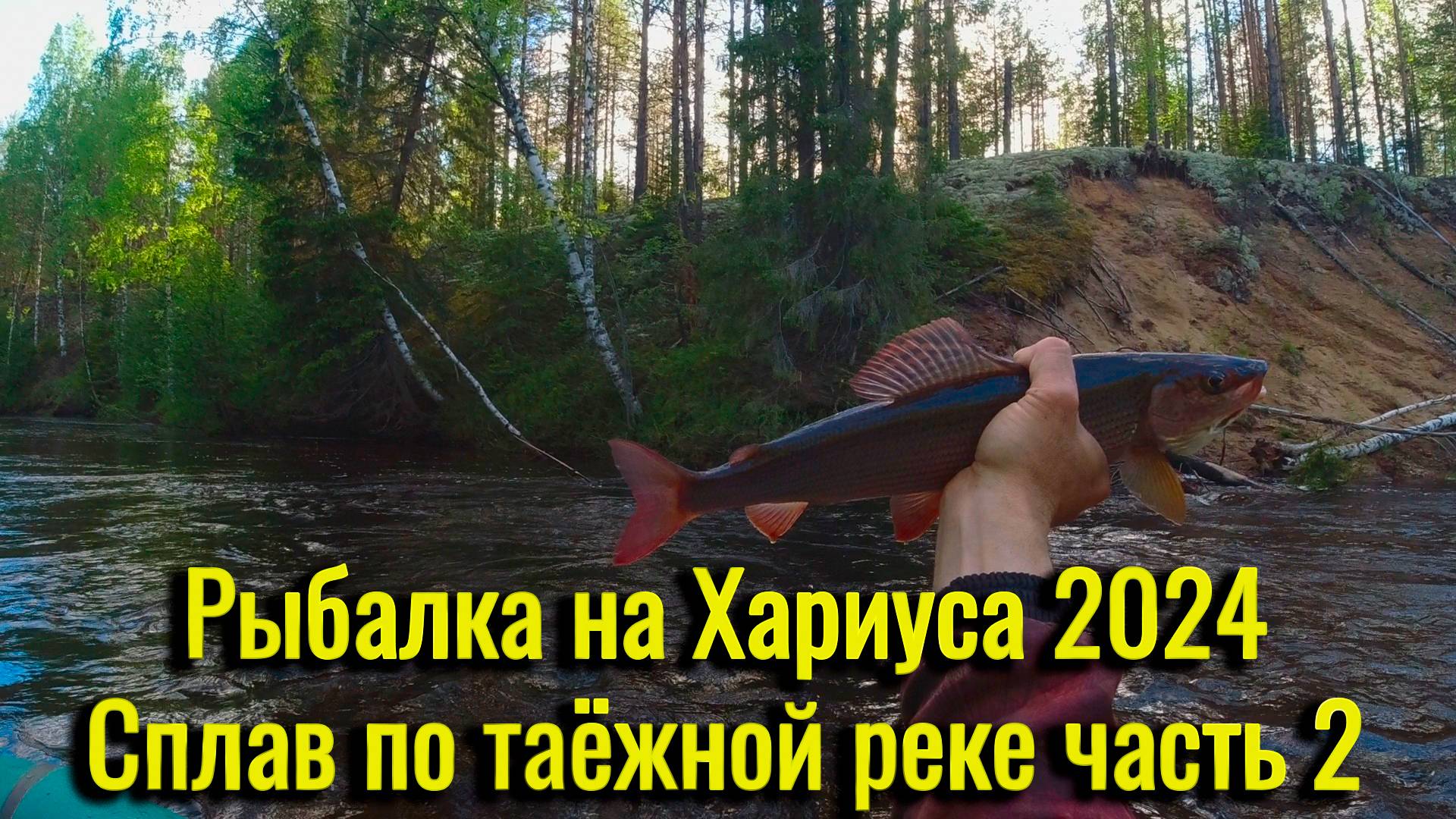 Рыбалка на Хариуса 2024. Сплав по таёжной реке. Добрались до крупного хариуса. Уха на костре. Часть2 смотреть онлайн
