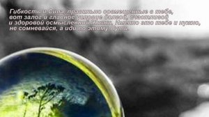 Мотивирующие цитаты