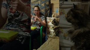 "Белорусское сало" 11 серия