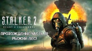 Прохождение STALKER 2 Heart of Chornobyl 2024 - Часть 18 - Рыжий лес!