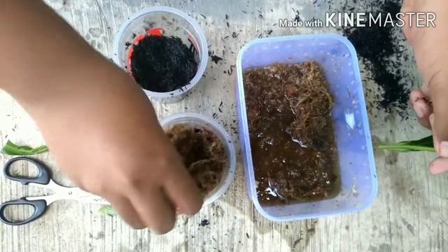 BONGKAR TRIK RAHASIA MEMPERBANYAK KANTONG SEMAR DENGAN STEK BATANG!!!TERNYATA GAMPANG!!! смотреть онлайн