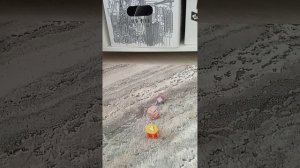зделал игры из игры в кальмара 2