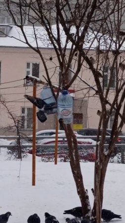 Наглость 😄