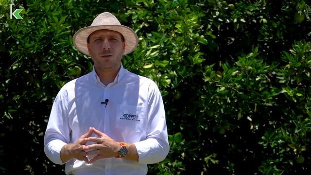 Biotalks | Pioneirismo da Koppert na citricultura – Rodrigo Rodrigues смотреть онлайн