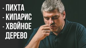 Ароматы Хвойного Леса Mori No Ko