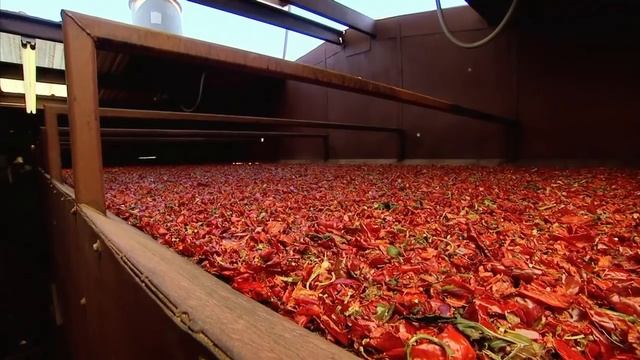 Chile Farming - America's Heartland смотреть онлайн