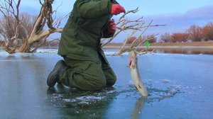 Рыбалка чуть не стала последней Зимняя рыбалка в Астрахани 2025 Щуки на жерлицы