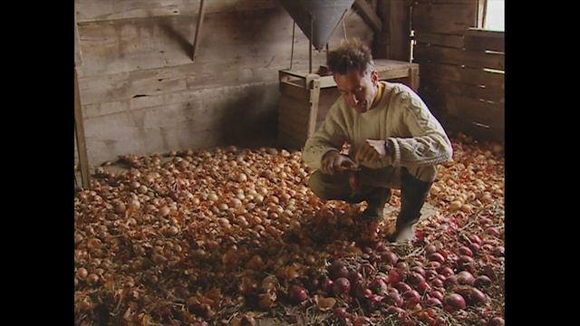 The Best Beef Seasoning For A Party | The Manic Organic смотреть онлайн