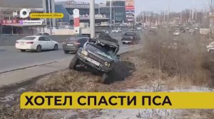 Автопатруль11 / Разорвало седан / Скользкая дорога / Влетело в дерево / 17.02.25