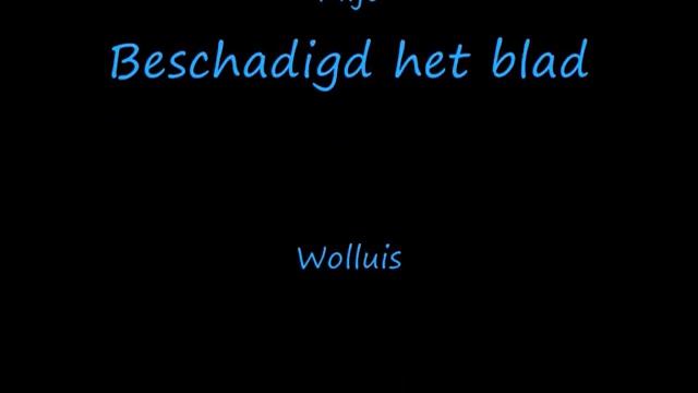 Orchideeënkwekerij Sion смотреть онлайн