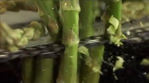 "СОСИСКА.РУ" - Мужская еда!" 20 сек