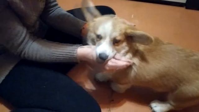 3 декабря 2022 г. смотреть онлайн