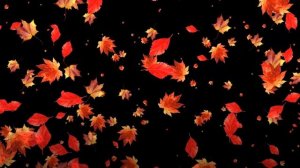 Футаж Падающие листья.