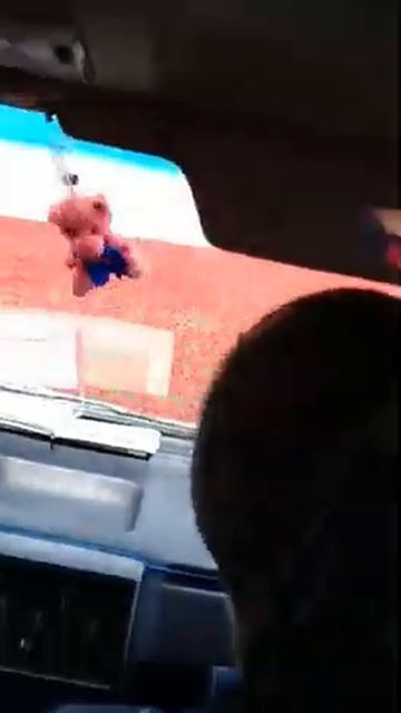 Маковое поле в Казахстане) смотреть онлайн