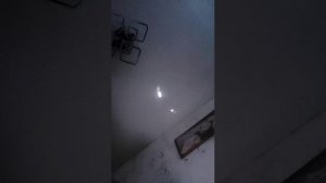 няшки