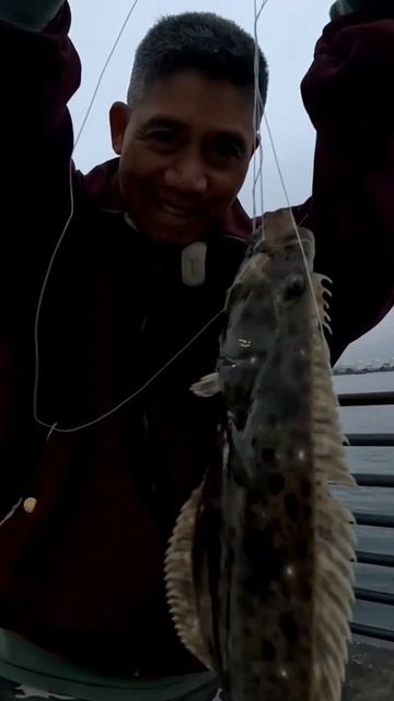 Halibut Fishing At Shelter Island I Caught 3 C&R #shorts