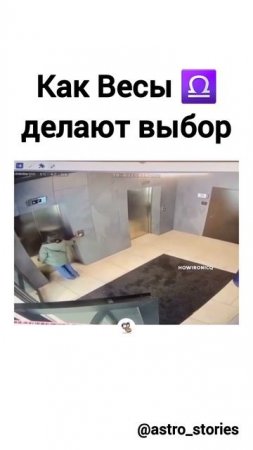 Весы делают выбор