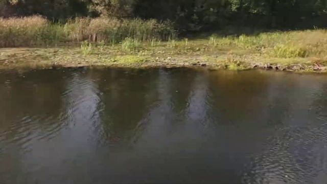 Выходные в Климентово обзор смотреть онлайн