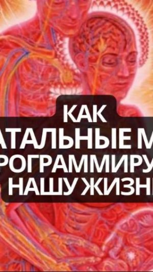 Как перинатальные матрицы влияют на всю нашу жизнь. Перинатальные матрицы Станислава Грофа!