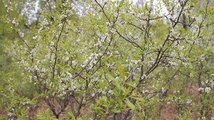 1 мая о.Сарпинский