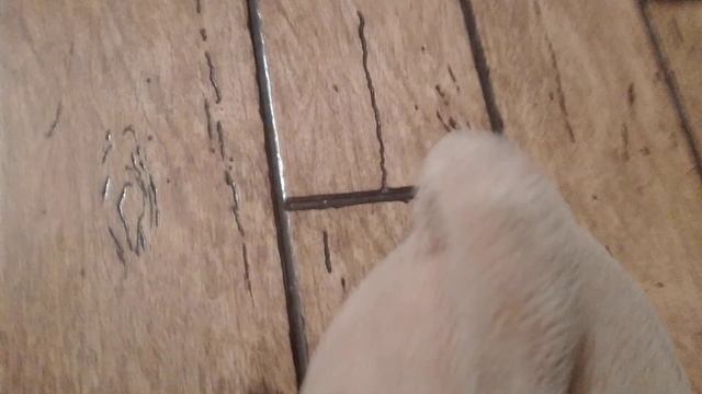 черепашки-ниндзя 5 сезон 4 серия устранение Дарт Вейдера часть четвёртая смотреть онлайн